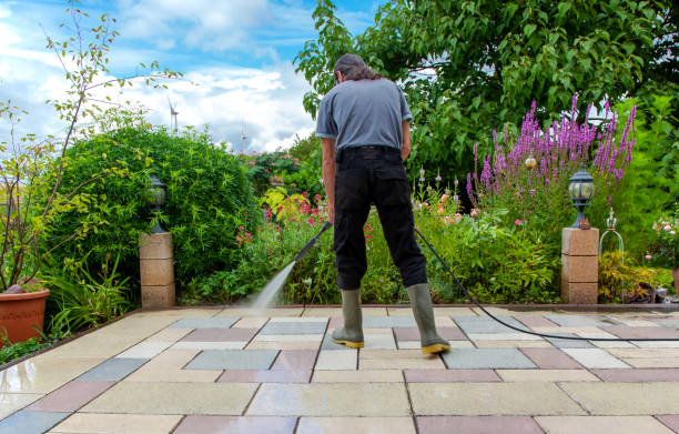 Best Winterizing Services  in Armada, MI