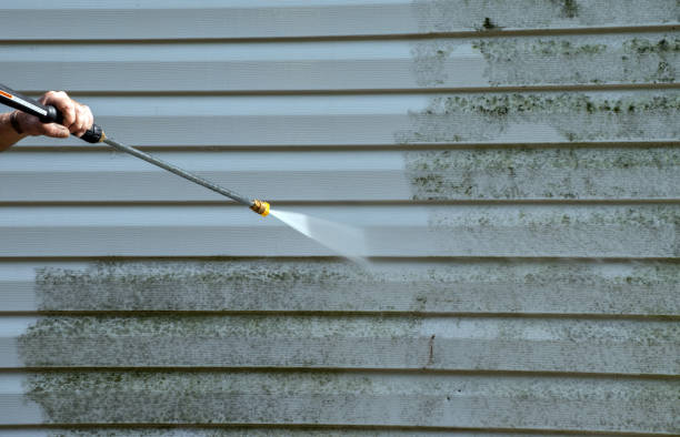 Best House Exterior Washing  in Armada, MI