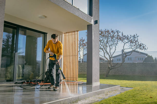 Pre-Holiday Cleaning in Armada, MI