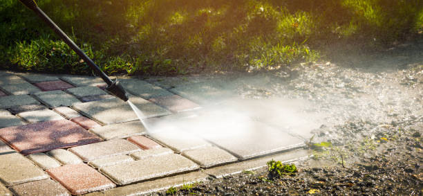 Best Patio and Deck Pressure Washing  in Armada, MI